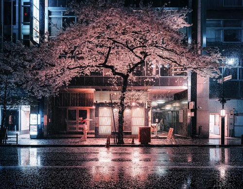 Gallery Of Photography By Junya Watanabe - Japan