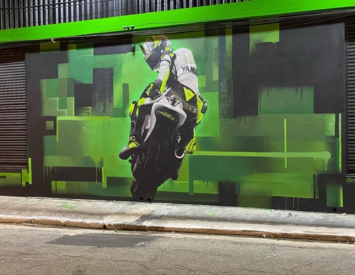 Gallery Of Street Art By Snek - Brazil