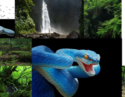 Galeria de pôsteres de Jack Usephot - Brasil