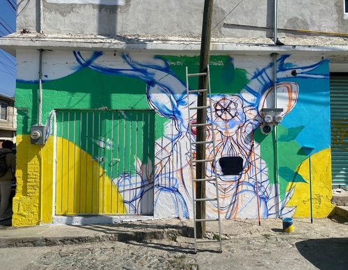 Gallery Of Street Art By Elchicho - Mexico