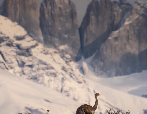 Gallery Of Photography By Timothy Dhalleine - Chile