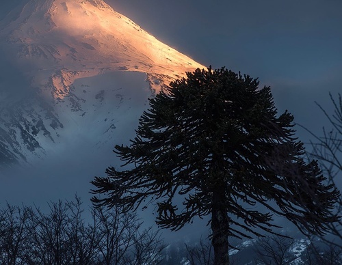 Gallery Of Photography By Jaime Garcés - Chile