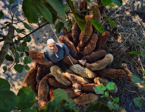 Gallery of photography by Ahmed Mansour - Egypt