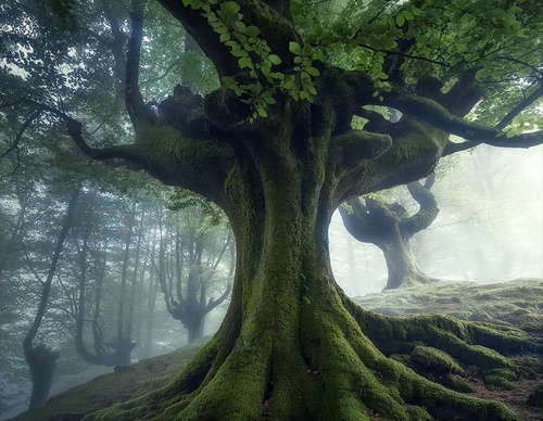 Gallery Of Photography By Max Rive - Netherlands