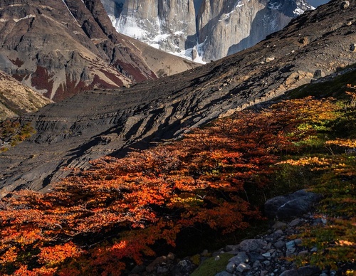 Gallery Of Photography By Timothy Dhalleine - Chile