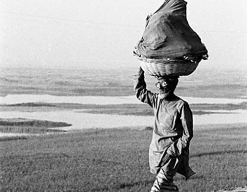 shahidul alam
