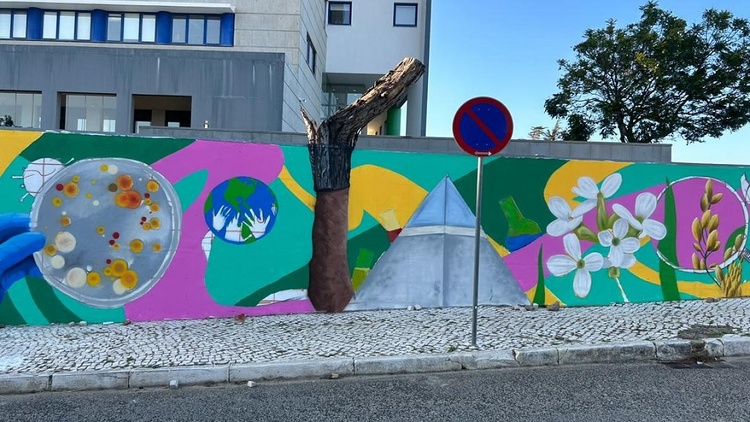 Urban Art: Beyond the Walls, a Living Expression in Cities