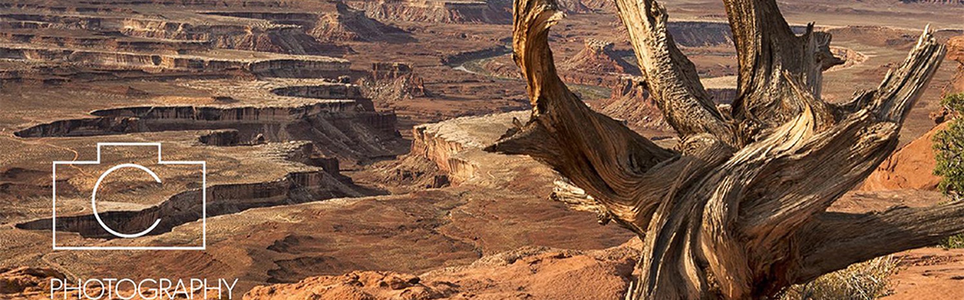 Fotografia de Stacy White