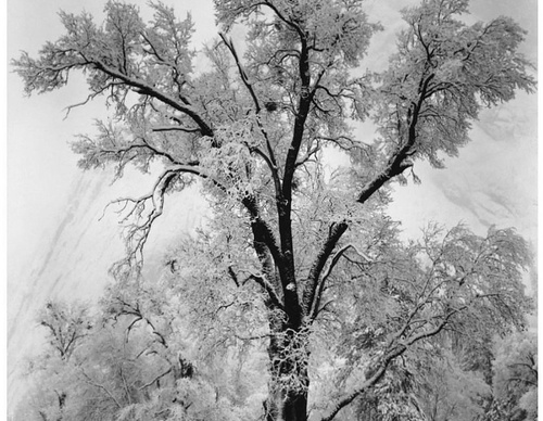 Gallery Of Photography By Ansel Adams - USA