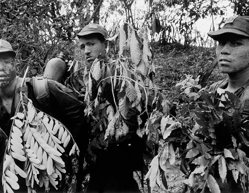 susan meiselas