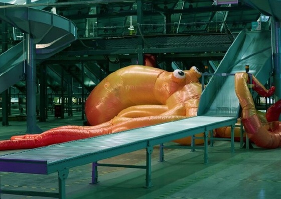 La primera exposición individual del artista en América Latina