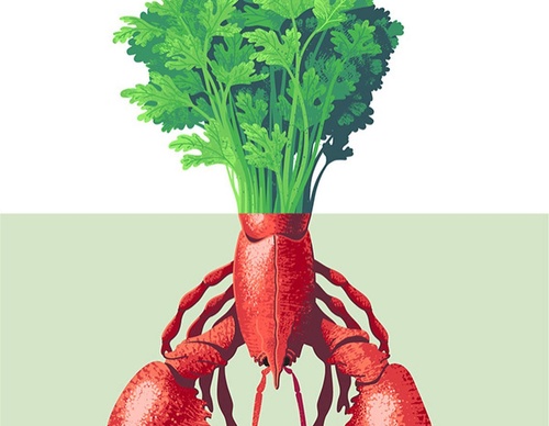 Gallery Of Illustration By Gustaf Öhrnell Hjalmars  -  Sweden