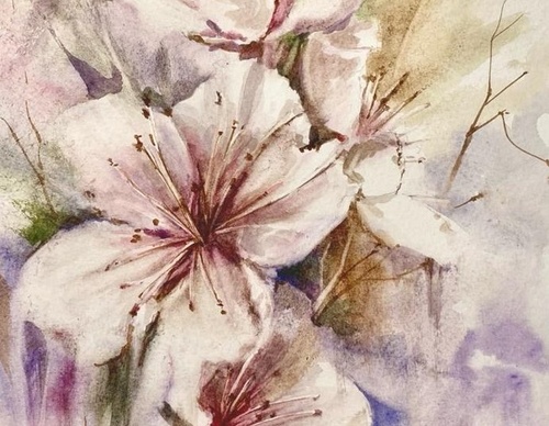 Galeria de Pintura de Silvia Trad - Portuguesa