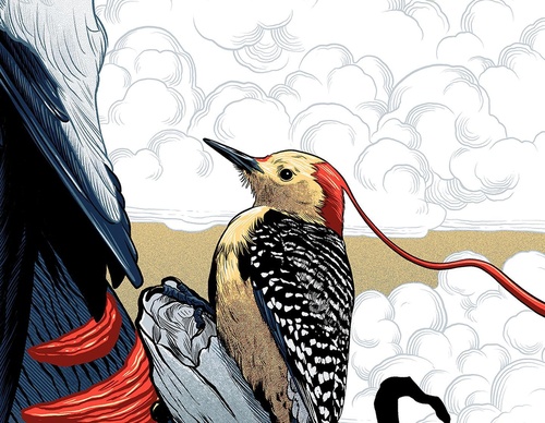 Galeria de ilustrações de Pedro Correa - Brasil