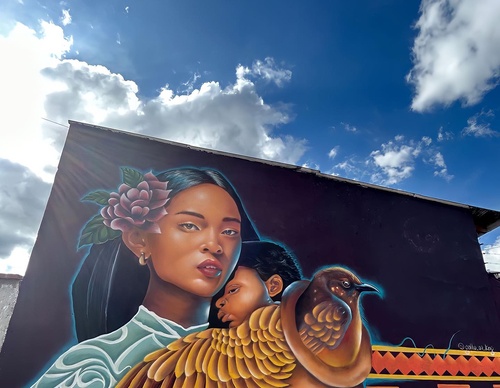 Gallery Of Street Art By Javier Rodriguez - Ecuador