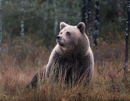 Gallery Of Photography By Elias Kalliola - USA