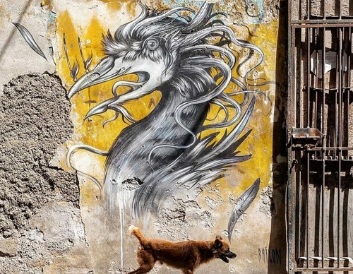 Gallery Of Street Art By Bailon - Brazil