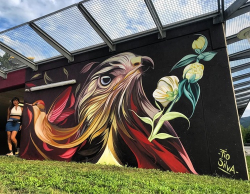 Gallery Of Street Art By Fio Silva - Argentina