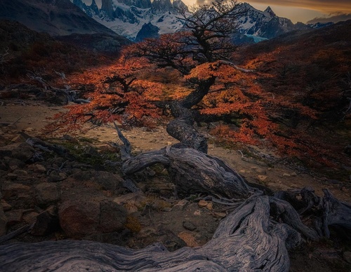 Galería de fotografía de Ty Lekki - Argentina