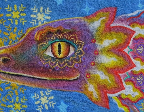 Galería de arte callejero de Nashi Bime - México