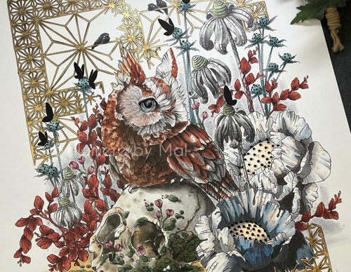 Galería de ilustraciones de Mallarie Bundy - EE. UU.