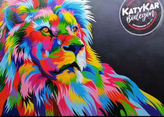 Gallery Of Street Art By Tu Tiza - Venezuela