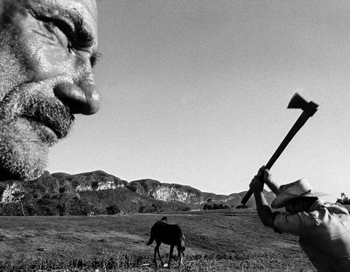 raul canibano