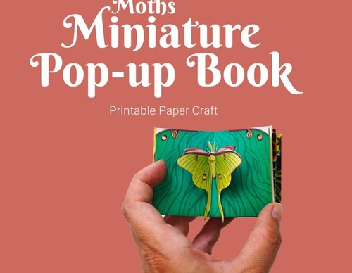 Gallery of Artistic book and sketch Book