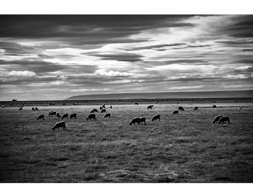 Gallery of Photography by Héctor Millar-Chile