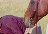 Gallery Of Painting By Alexandre Reider-Brazil