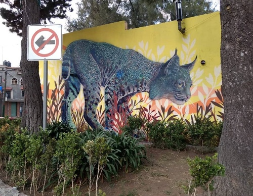 Galería de arte callejero de Nashi Bime - México