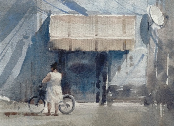 gonzalo ibanez vargas