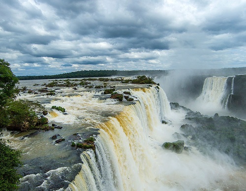 brazil jim zuckerman