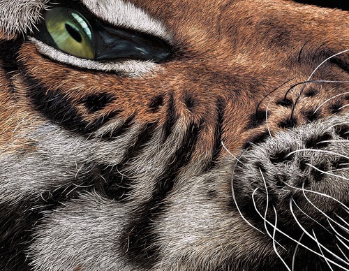 Galería de pintura realista de Annie Drew - Reino Unido