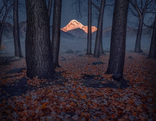 Galeria De Fotografia De Aytek Cetin - Turquia