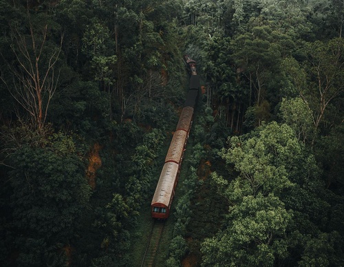 Gallery Of Photography By Luke Stackpoole - United Kingdom