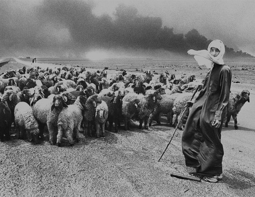 Galeria de Fotografia de Sebastião Salgado-Brasil