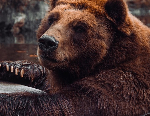 Gallery Of Photography By Chris Henry - USA