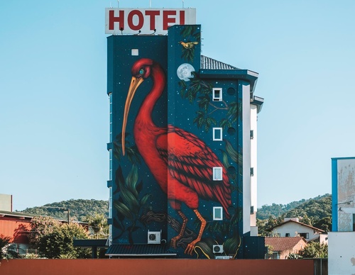 Gallery Of Street Art By Bailon - Brazil