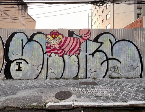 Gallery Of Street Art By Rafael Sliks - Brazil