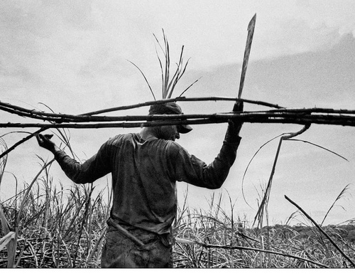Gallery Of Photography By João Roberto Ripper - Brazil
