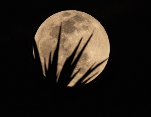 Gallery Of Photography By Keith Ladzinski - Brazil