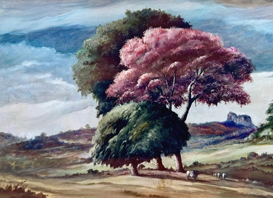 atelie pedro schirato