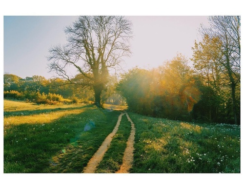 Gallery Of Photography By Daniel Casson - England