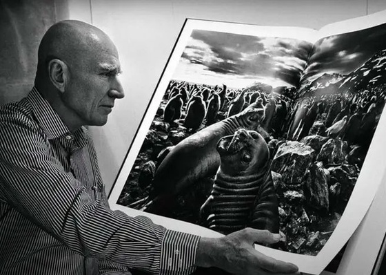 A Fotografia Documental – O Olhar que Testemunha