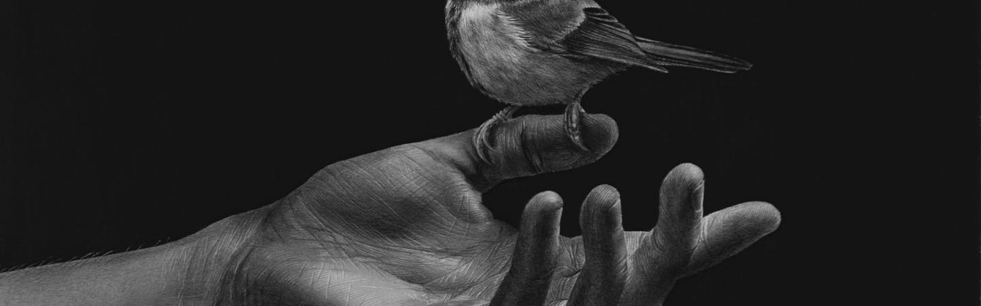 Gallery Of Realistic Painting By Emma Towers Evans - Brazil