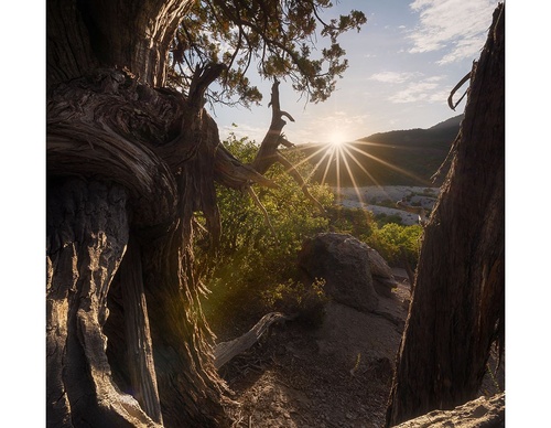 Gallery Of Photography By Rodrigo Viveros - Chile