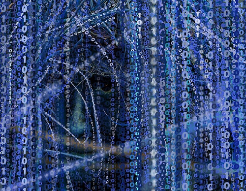 terror online cartoons