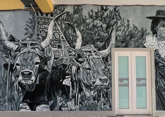 Gallery Of Street Art By Mariana Duarte Santos-Portugal