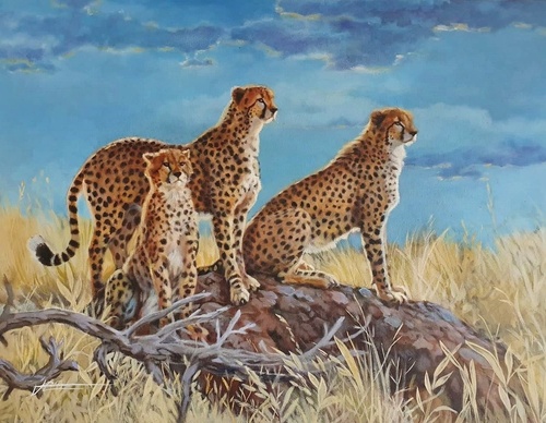 jorge castrillon